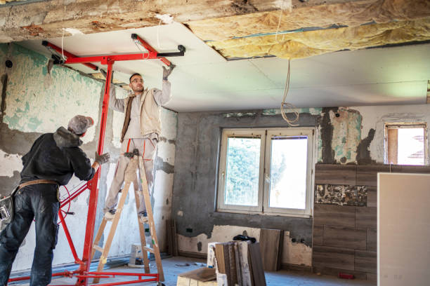 Professional Insulation Contractor in MD
